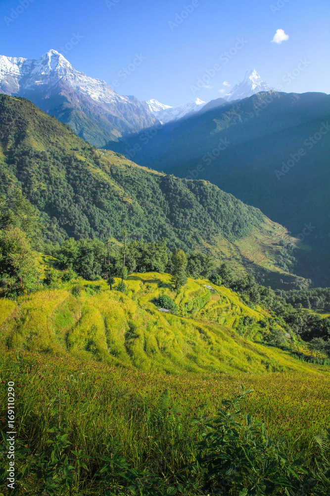 Obraz premium High mountains in the Himalaya, Pokhara, Nepal