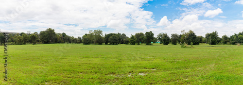 Green grass with bright blue sky background(Panorama)