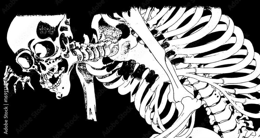 Fototapeta premium Japanese Ukiyoe illustration [vector]