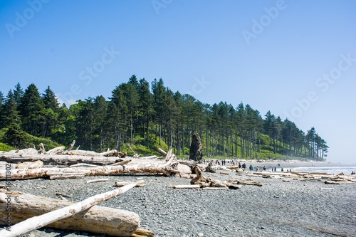 Landscape driftwood on the beach at Ruby Beach, Olympic National Park in the U.S. state of Washington.