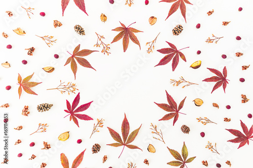 Round frame made of autumn leaves, dried flowers and pine cones on white background. Flat lay, top view, copy space.