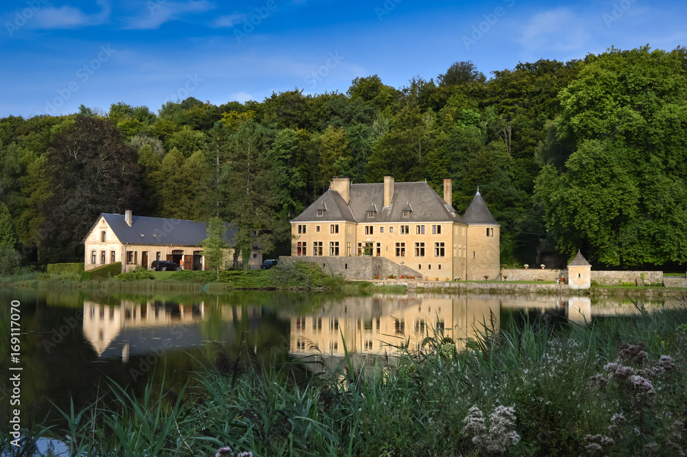 Fototapeta premium Chateau on a pond