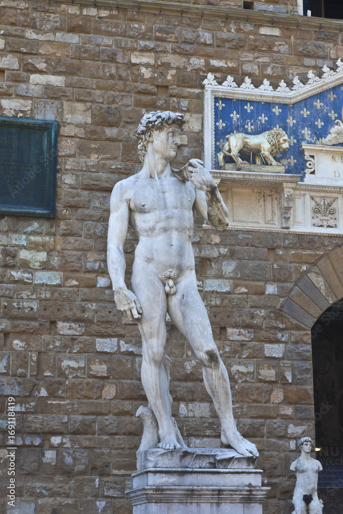 Naklejka premium Toskana-Impressionen, Florenz, David von Michelangelo, Piazza della Signoria,