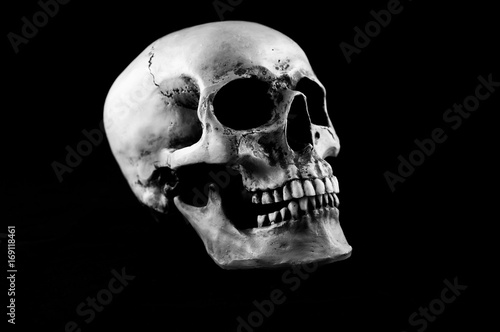 Human skull isolated on black