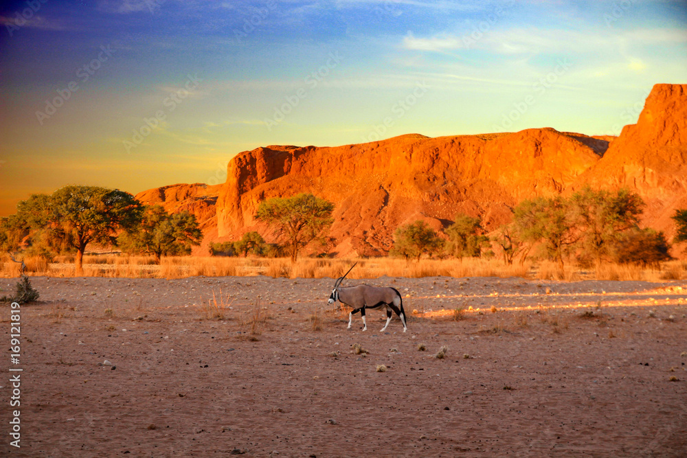 Spektakuläre Landschaft des Namib Naukluft Parks mit Oryx Spektakuläre Landschaft des Namib Naukluft Parks mit Oryx