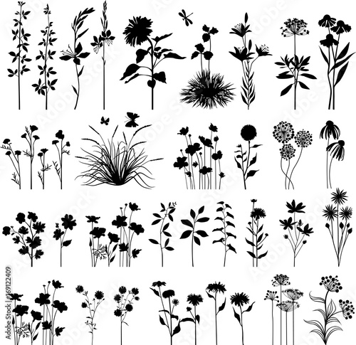 Big summer plant set.