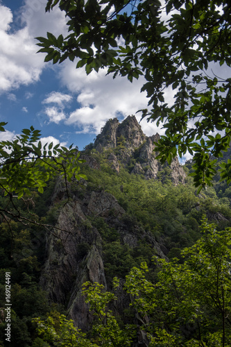 pyrénées