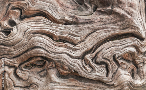 close up old aged wooden texture abstract background  photo
