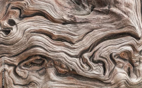 Panel kuchenny z motywem close up old aged wooden texture abstract background 