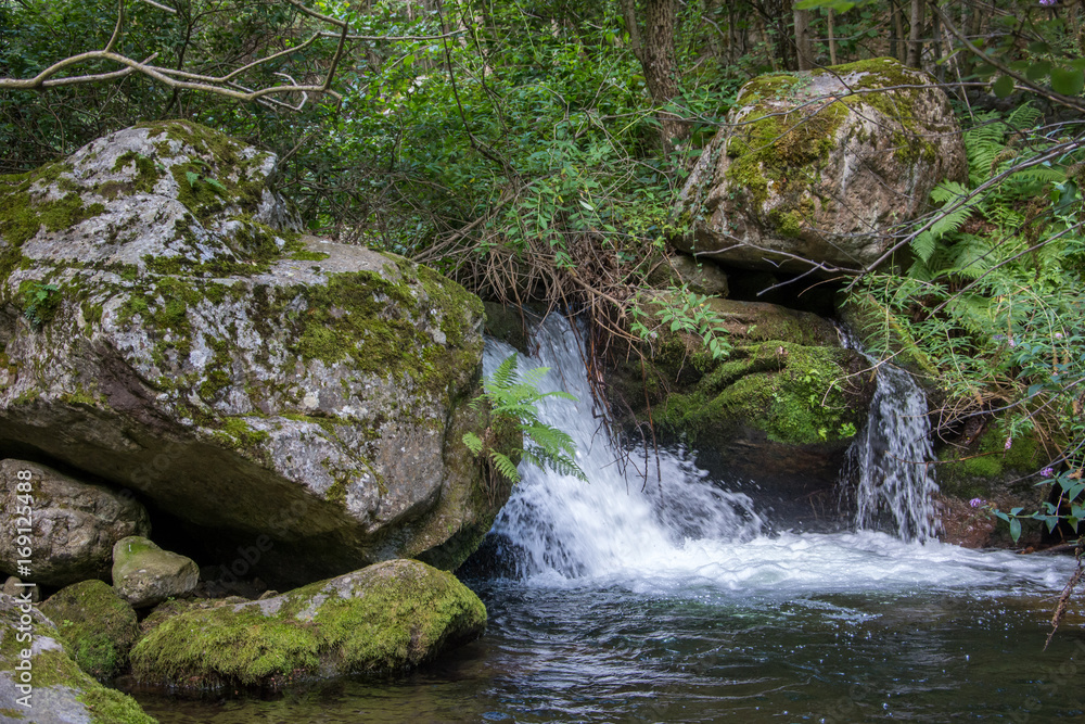 Fototapeta premium pyrénées