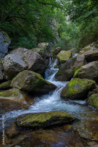 pyrénées