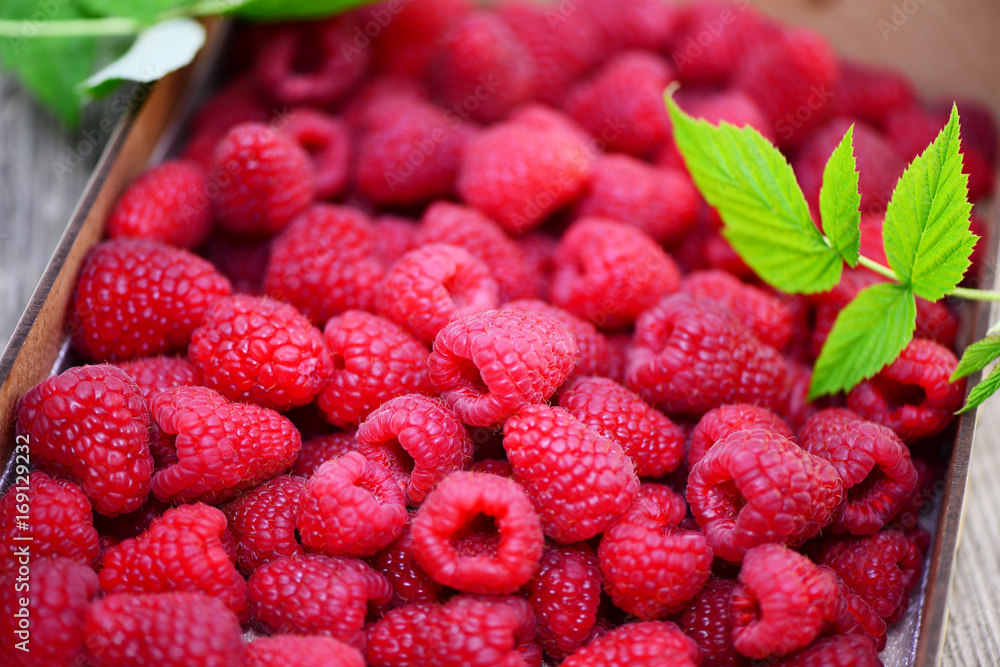 Himbeeren Himbeeren
