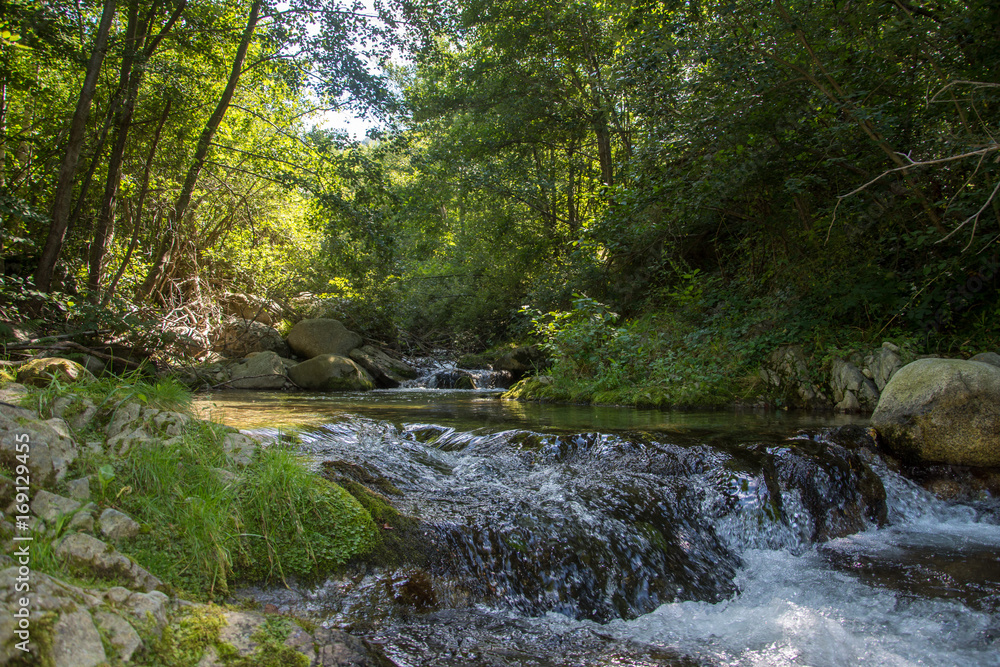 pyrénées pyrénées