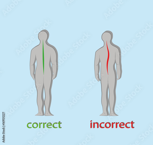 Correct alignment of human body in standing posture for good personality and healthy of spine and bone. Health care and medical illustration