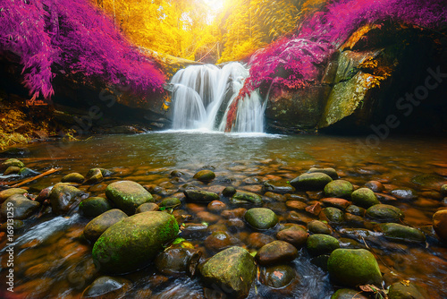 Phu Soi Dao Waterfall with yellow and pink leaves trees autumn  beautiful waterfall in rainforest at Uttaradit province  Thailand