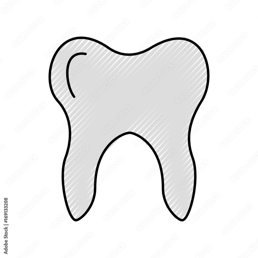 Human tooth isolated icon vector illustration design Human tooth isolated icon vector illustration design
