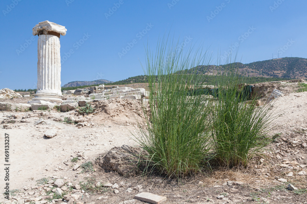 Marble column and Ruins of the ancient city of Hierapolis in the vicinity of Pamukkale, Turkey