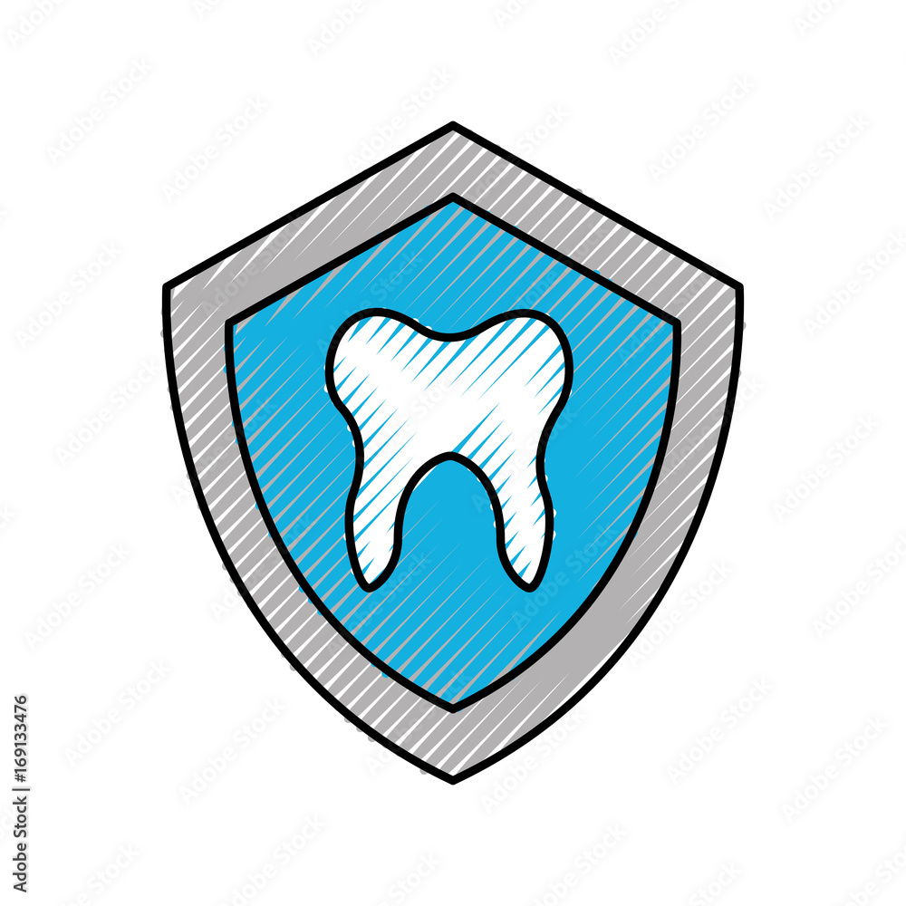 shield with Human tooth isolated icon vector illustration design shield with Human tooth isolated icon vector illustration design