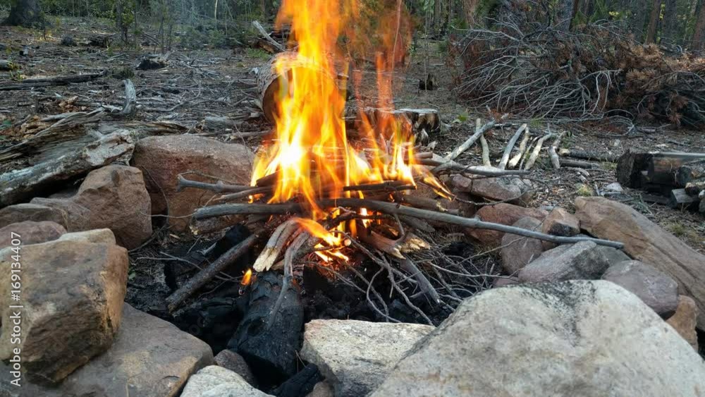 Burning forest wood in fire pit made of large rocks. Burning forest wood in fire pit made of large rocks.
