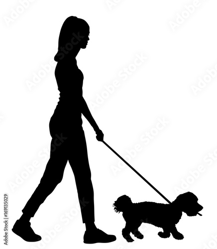 Owner handsome girl walking with dog vector silhouette illustration, isolated on white background. Maltese dog.
