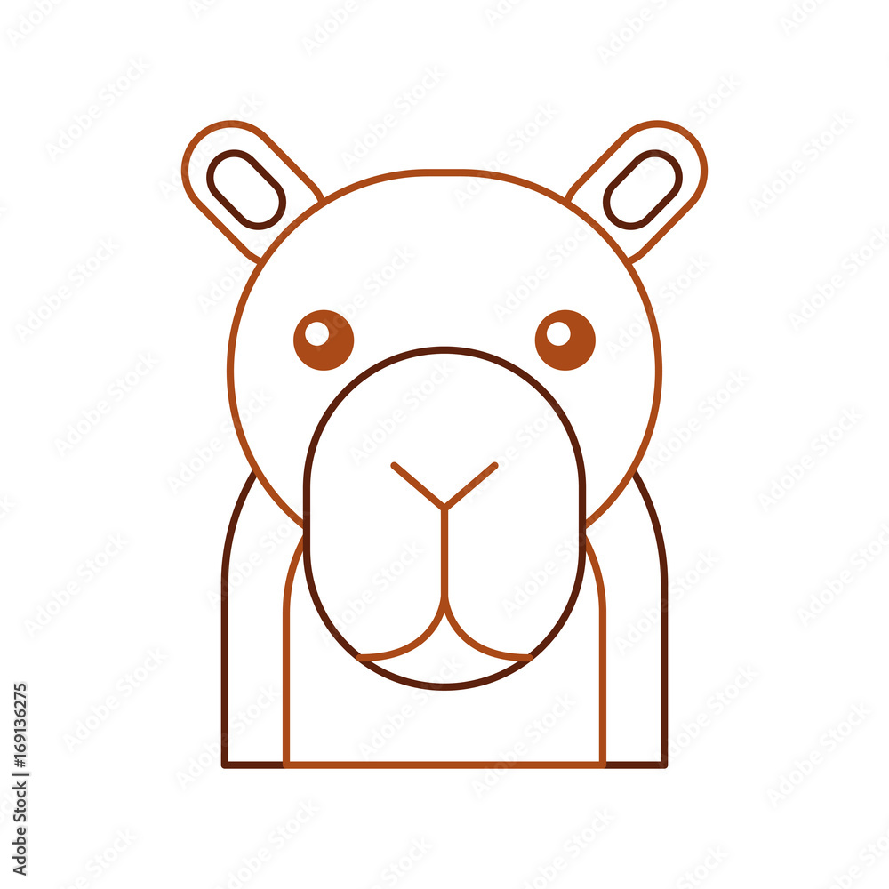 african camel isolated icon vector illustration design african camel isolated icon vector illustration design