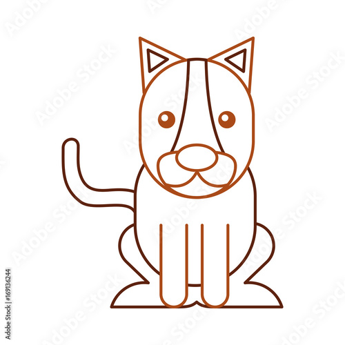 Wild lioness isolated icon vector illustration design