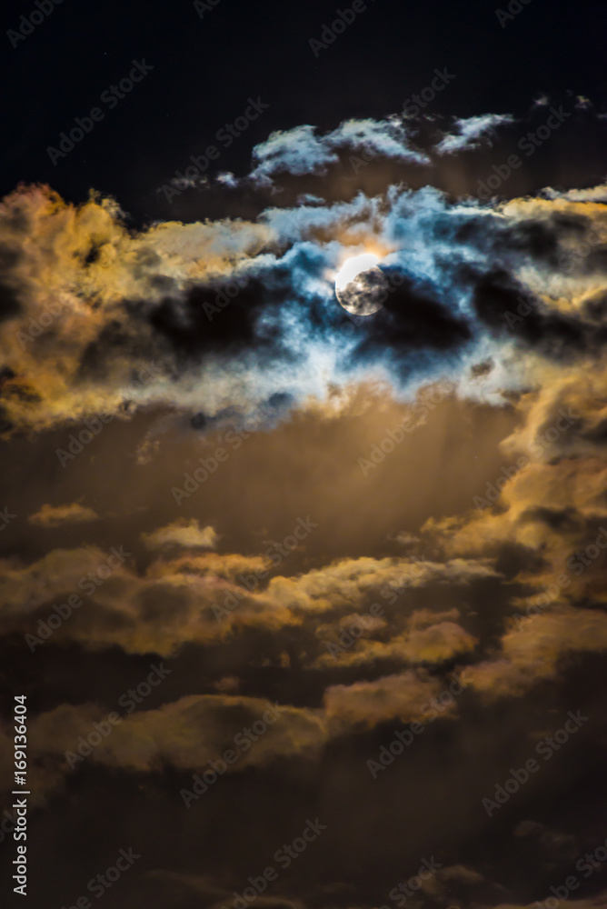 Obraz premium Moonlight