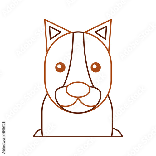 Wild lioness isolated icon vector illustration design