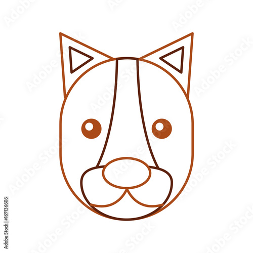 Wild lioness isolated icon vector illustration design