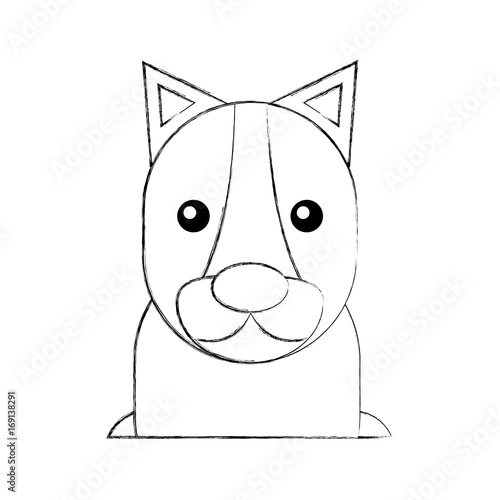 Wild lioness isolated icon vector illustration design