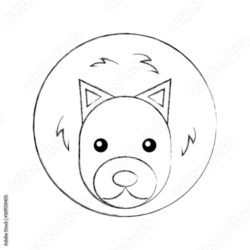 Wild lion isolated icon vector illustration design