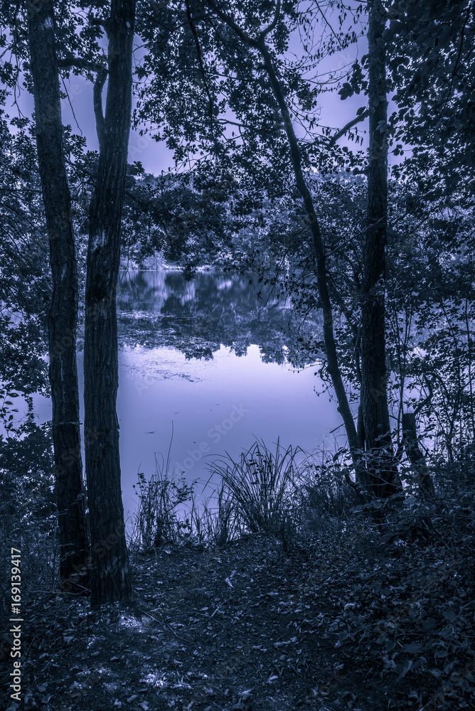 Obraz premium Freude