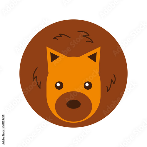 Wild lion isolated icon vector illustration design