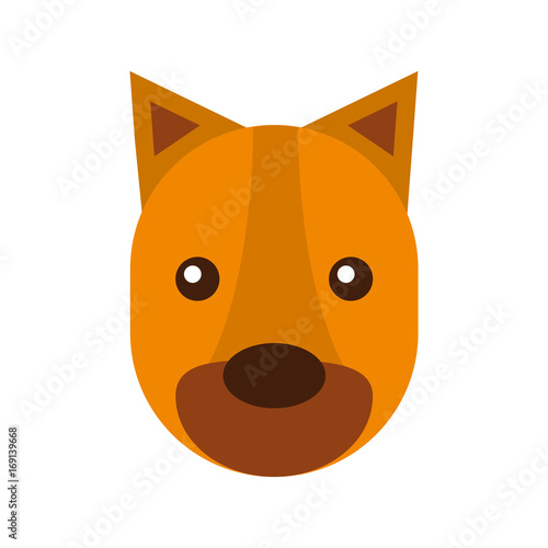 Wild lioness isolated icon vector illustration design