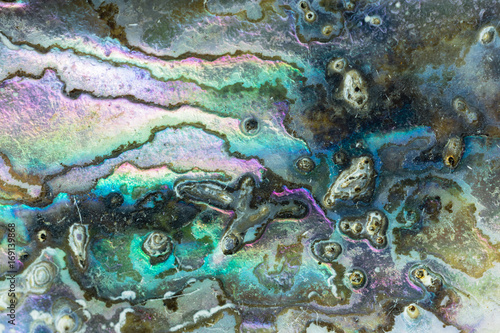 Shiny mother-of-pearl of Abalone shell background photo