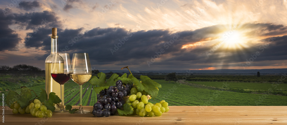 Wine at sunset, landscape