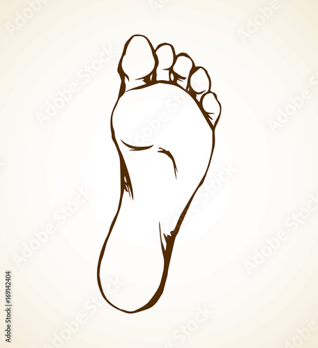 Foot. Vector drawing