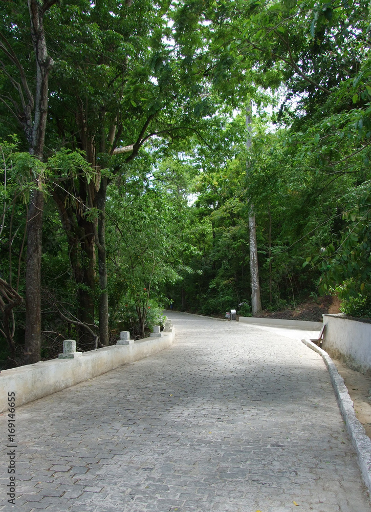 Nossa senhora da penha path 