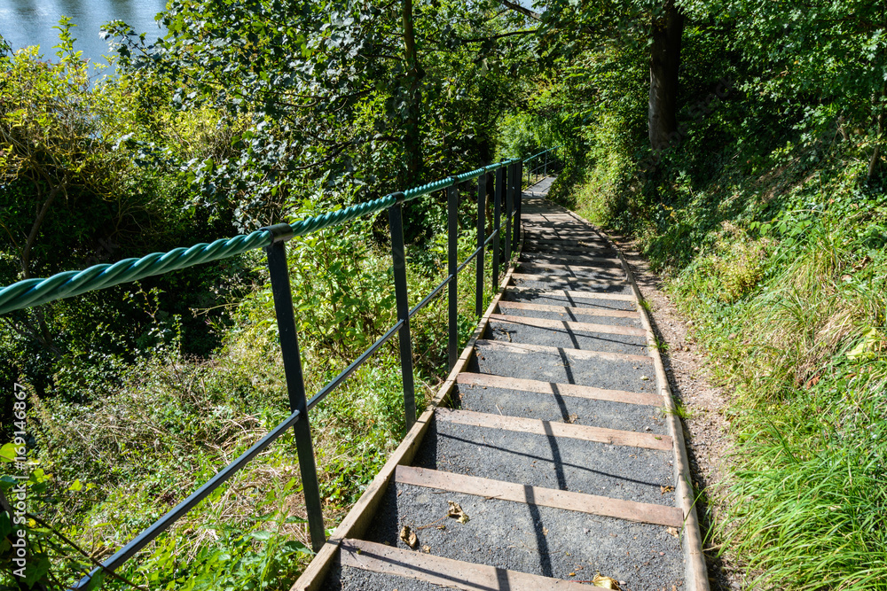 Stairs with green surroundings