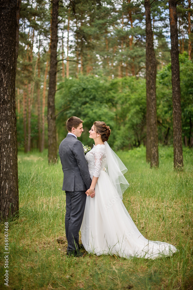 Bride and groom holding hands in the forest on nature