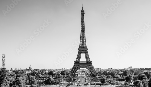 Fototapeta Naklejka Na Ścianę i Meble -  The beautiful and amazing Eiffel Tower in Paris