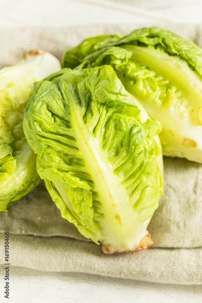 Raw Organic Green Baby Lettuce Hearts Raw Organic Green Baby Lettuce Hearts