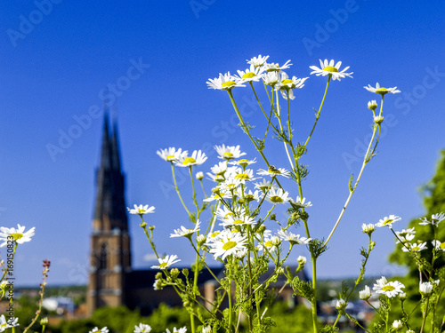 Uppsala, Domkyrkan, Domkirche, Schweden, Uppland photo