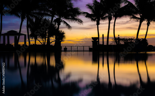 Dawn reflection on pool, with palm trees