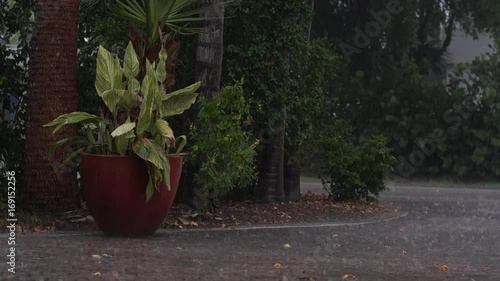 a heavy downpour in tropical florida. View of large potted plant and trees along driveway during tropical rainstorn in Naples Florida, street can be seen flooding, with audio.