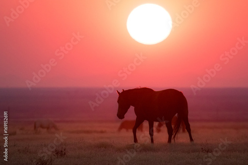Wild horse silhouette in crimson sunset along Pony Express © Wesley Aston