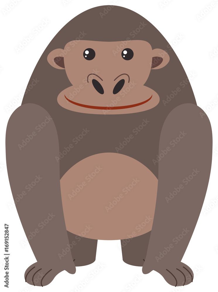 Obraz premium Cute gorilla on white background