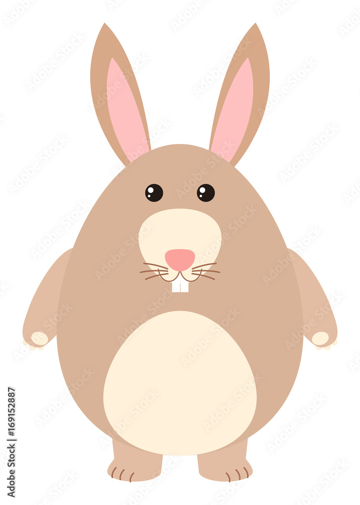 Fototapeta premium Cute rabbit with brown fur