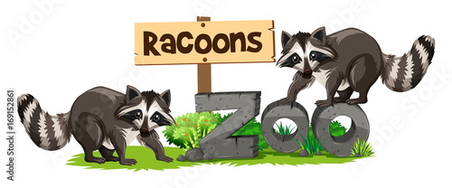 Racoons at the zoo sign