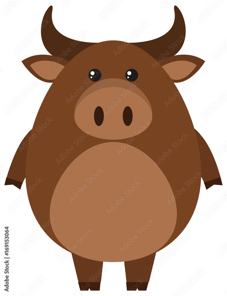 Brown buffalo on white background Brown buffalo on white background